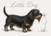Little Dog Artisan - Home